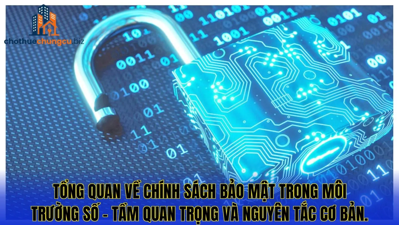 Tổng quan về chính sách bảo mật trong môi trường số – tầm quan trọng và nguyên tắc cơ bản.