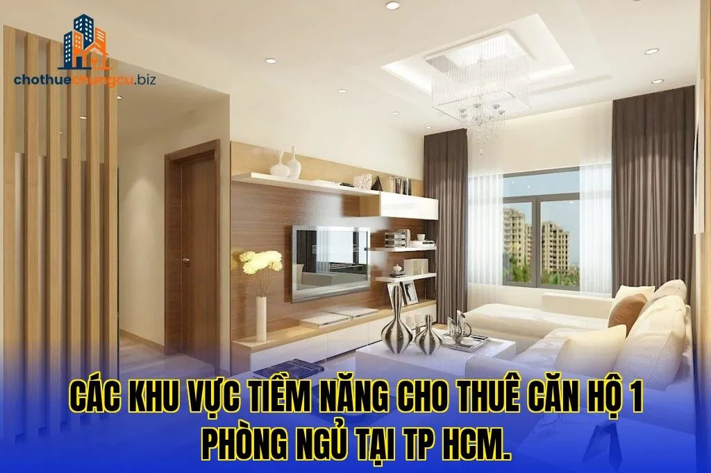 Các khu vực tiềm năng cho thuê căn hộ 1 phòng ngủ tại TP HCM.